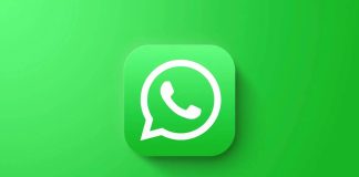 certyfikat WhatsApp