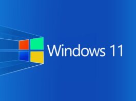 aggiornare windows 11 sudo linux