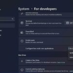 actualizarea windows 11 sudo linux pc