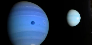 Uranus Neptunus maandag première