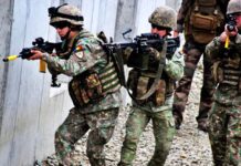Rumænsk hær SIDSTE MINUTE Information Officielle aktiviteter Vigtige for det rumænske militær