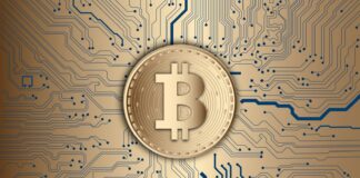 Google Announces Bitcoin Blockchain Indexing Showing Search Wallet Balances