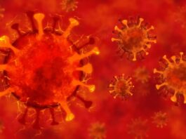 Coronavirus Romania Noul Numar al Infectarilor Noi din 1 Noiembrie 2022