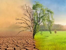 Anunt Oficial OMS ULTIM MOMENT Semnal ALARMA Toate Tarile