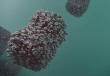 OMS a Emis un nou Anunț de ATENȚIONARE pentru Lumea Întreagă, privind Mpox OMS Emis nou Anunț ATENȚIONARE Lumea Întreagă Mpox