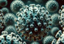 Variola Maimuței a Ajuns în Europa, Varianta Gravă a MPOX Confirmată Oficial Variola Maimuței Ajuns Europa Varianta Gravă MPOX Confirmată Oficial