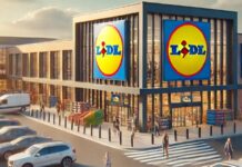 LIDL Romania: Magazinele in Centrul unor Anunturi IMPORTANTE Vizand Clientii din Toata Tara LIDL Romania Magazinele Centrul Anunturi IMPORTANTE Vizand Clientii Toata Tara