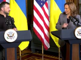 Volodimir Zelenski Anunta Intalnirile Critice Kamala Harris Donald Trump SUA