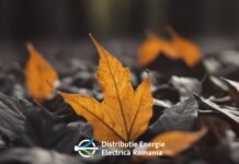 ELECTRICA: Masurile Oficiale de ULTIM MOMENT Luate pentru Clientii din Romania ELECTRICA Masurile Oficiale ULTIM MOMENT Luate Clientii Romania