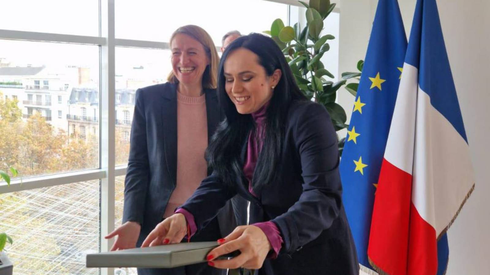 Parteneriatul ULTIM MOMENT Simonei Bucura-Oprescu Hotarari Internationale Importante Romani
