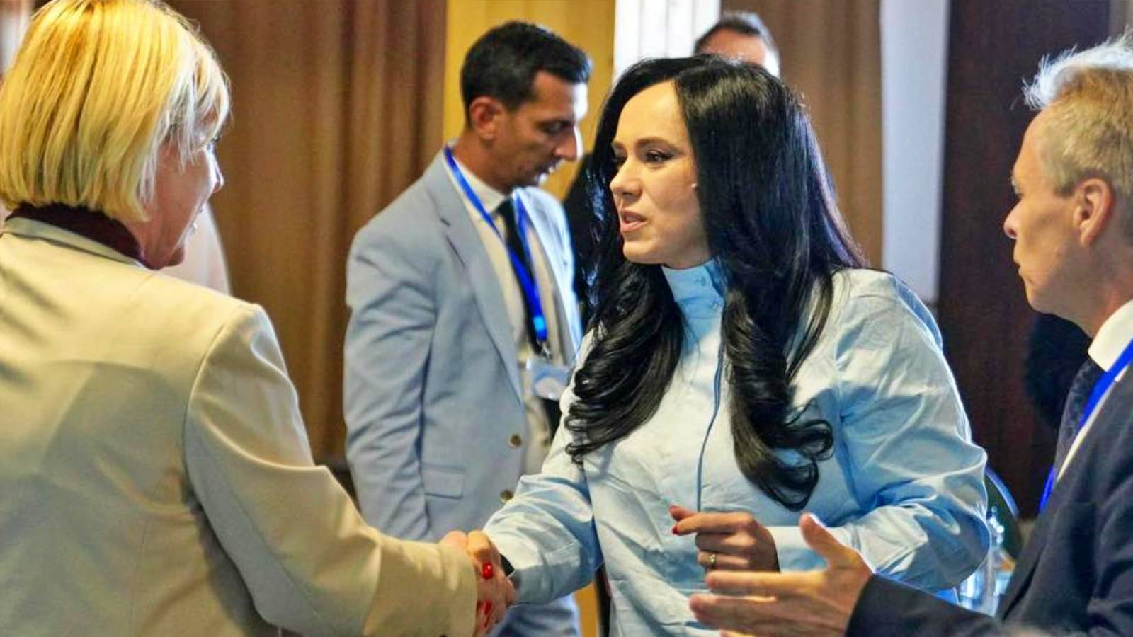 Proiect Normativ ULTIM MOMENT Simonei Bucura-Oprescu Hotarare Guvern Domeniu Sensibil