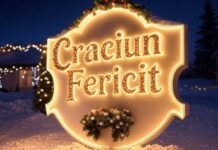 Craciun Fericit 2024! craciun fericit