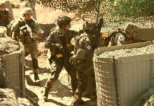 Actiunile Militare ale Armatei Romane si Informarile de ULTIM MOMENT pentru Milioane de Romani Actiunile Militare Armatei Romane Informarile ULTIM MOMENT Milioane Romani