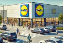 LIDL Romania Anunta MILIOANE de Clienti Romani despre o Masura Importanta Aplicata in Tara LIDL Romania Anunta MILIOANE Clienti Romani Masura Importanta Aplicata Tara