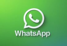WhatsApp Aduce Inteligenta Artificiala in Aplicatia pentru iPhone si Android WhatsApp Salt URIAS iPhone Android Inovatie Impresionanta