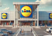 LIDL Romania Initiativa Oficiala Clienti GRATUIT Magazinele Toata Tara
