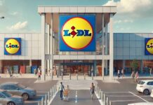 LIDL Romania Informeaza Oficial Romanii DECIZIA Importanta Pusa Aplicare Tara