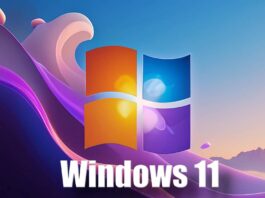 Windows 11 Relansata Oficial IMPORTANTA Functie Microsoft Mandreste