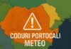 Codurile PORTOCALII Meteorologice ANM Oficiale NOWCASTING ULTIMA ORA Romania 22 Mai 2025