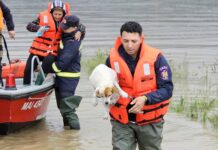 DSU Anunță Măsurile de URGENȚĂ Luate din Cauza Inundațiilor în România