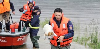 DSU Anunță Măsurile de URGENȚĂ Luate din Cauza Inundațiilor în România