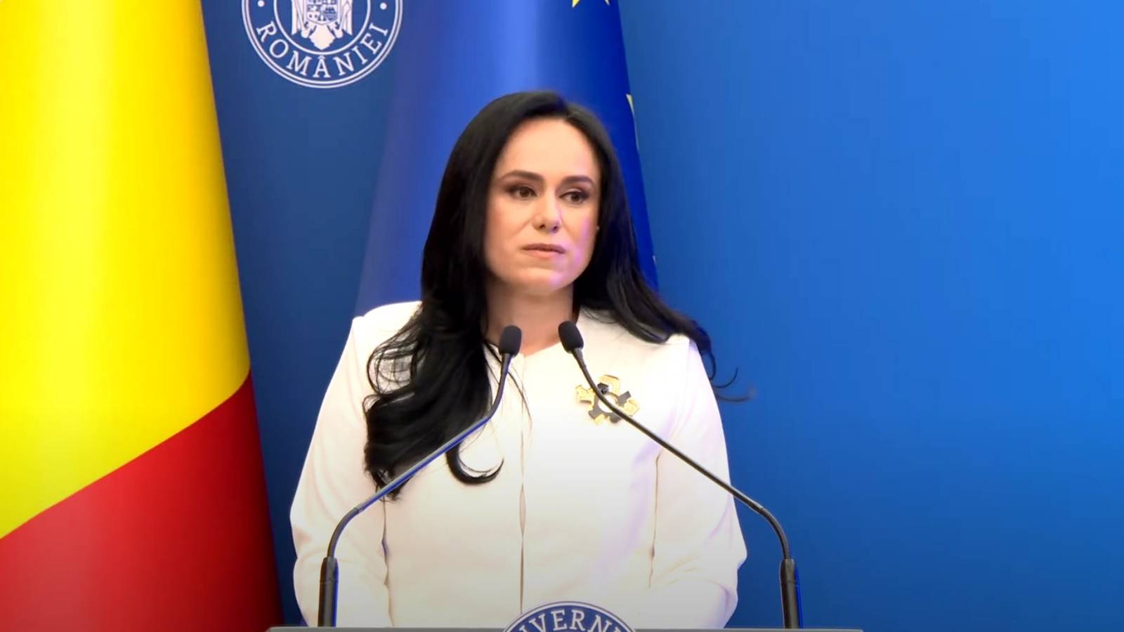 Dispozitia Documentului Simonei Bucura-Oprescu de ULTIMA ORA Anuntand un Program Guvernamental de Interes National