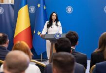 Dispozitiile Guvern Formulate Simona Bucura-Oprescu ULTIMA ORA Hotararea Executivului Procedurile Romani