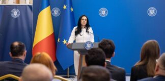 Dispozitiile Guvern Formulate Simona Bucura-Oprescu ULTIMA ORA Hotararea Executivului Procedurile Romani