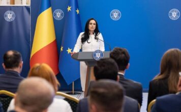 Dispozitiile Guvern Formulate Simona Bucura-Oprescu ULTIMA ORA Hotararea Executivului Procedurile Romani