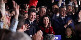 Nicusor Dan presedinte romania alegeri 2025