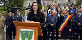 Ordinul Guvern Elaborat Simona Bucura-Oprescu ULTIMA ORA Cadru Legislativ Nou Romania
