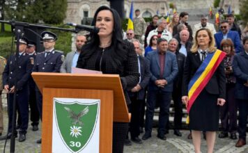 Ordinul Guvern Elaborat Simona Bucura-Oprescu ULTIMA ORA Cadru Legislativ Nou Romania