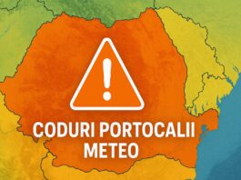 Coduri PORTOCALII NOWCASTING ANM Oficiale ULTIMĂ ORĂ 17 Iunie 2025 România