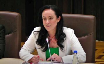 Dispozitia Guvern Elaborata Simona Bucura-Oprescu ULTIMA ORA Impusa Ministerul Muncii Romania