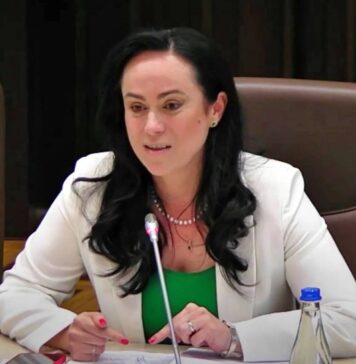 Dispozitia Guvern Elaborata Simona Bucura-Oprescu ULTIMA ORA Impusa Ministerul Muncii Romania
