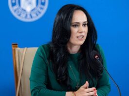 Hotarare Guvern Elaborata Ministerul Muncii ULTIMA ORA Simona Bucura-Oprescu Modificari Normative Romania