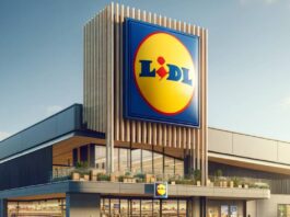 LIDL Romania bilete beach please