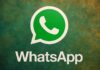 WhatsApp ocupatie iphone android