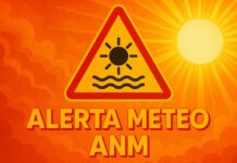 ALERTA Nowcasting Meteorologică Oficială ULTIMĂ ORĂ ANM România 19 Iulie 2025