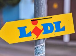LIDL Romania Anunta Promotie Speciala Clientilor Gratis Romanilor