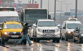 Permisele Conducere Suspendate Automat Neplata Amenzilor Guvernul Romaniei