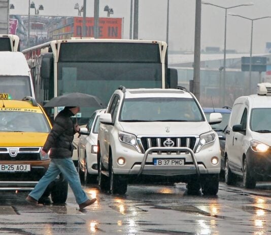 Permisele Conducere Suspendate Automat Neplata Amenzilor Guvernul Romaniei