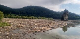 Hidroelectrica operatiune curatare lac