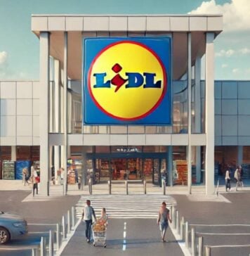 Impactul National LIDL Romania Are Explicatiile Publicate Romani