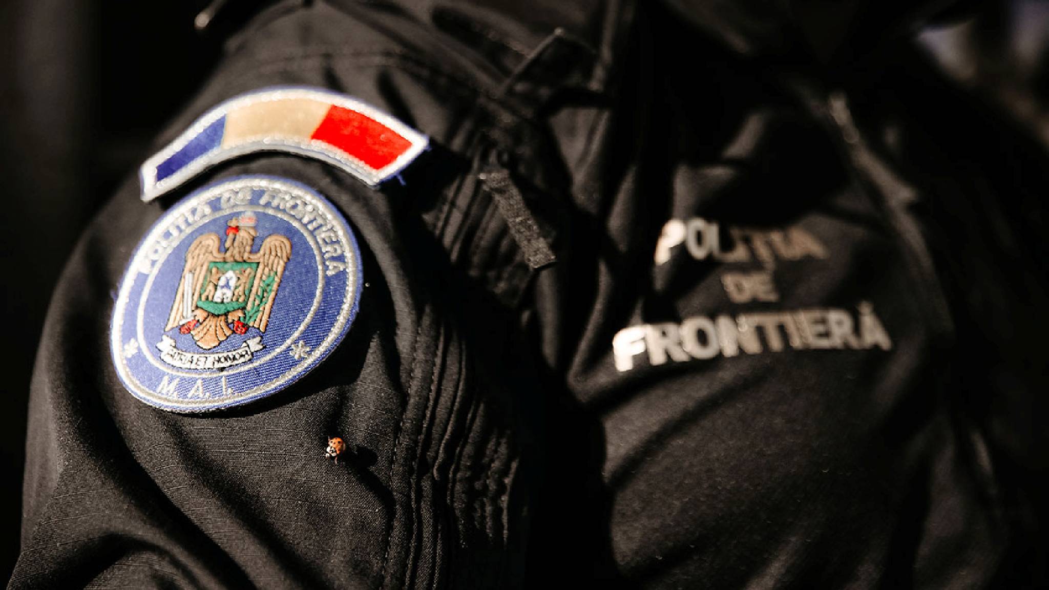Numar Mare Ucrainieni Depistati Granita Romaniei Incercand Treaca Ilegal Numar Mare Ucrainieni Depistati Granita Romaniei Incercand Treaca Ilegal