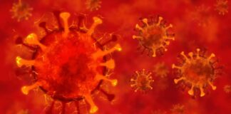 Coronavirus Romania Crestere Cazurilor Infectare