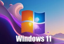 Windows 11 amenintare driver