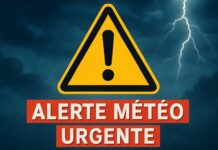 3 ALELRTE Meteo ULTIMA ORA ANM Oficiale Emise Romania 7 Octombrie 2025