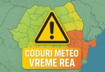 Codurile de Vreme EXTREMA ANM NOWCASTING pentru Romania din Cauza Ciclonului Barbara Codurile Vreme EXTREMA ANM NOWCASTING Romania Cauza Ciclonului Barbara