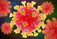 Coronavirus Raportarea Situatiei Noilor Cazuri Infectari Romania Octombrie 2025